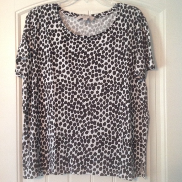 Loft Short Sleeve Top - Picture 1 of 4